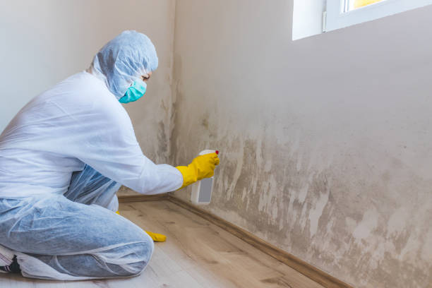Hvac And Air Duct Mold Remediation inspection of HVAC system in Cockeysville